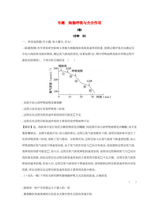 2019版高考生物二轮复习专题三细胞呼吸与光合作用专题能力提升练B