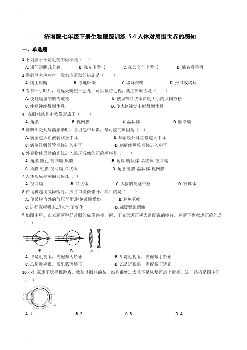 济南版七年级下册生物跟踪训练 5.4人体对周围世界的感知(精编含解析)