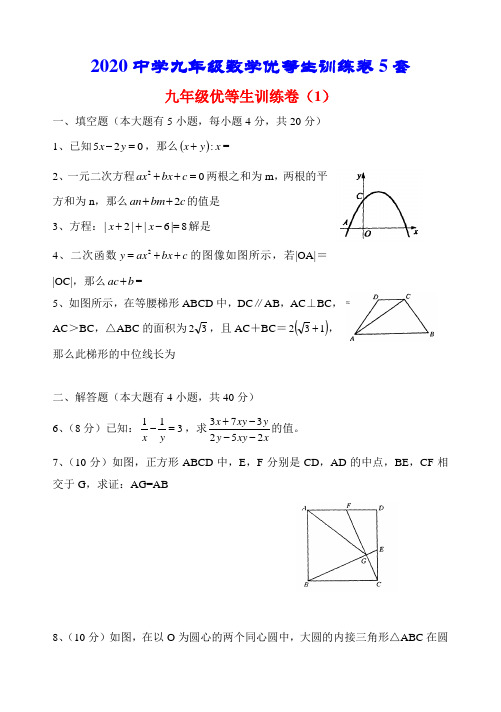 2020中学九年级数学优等生训练卷5套