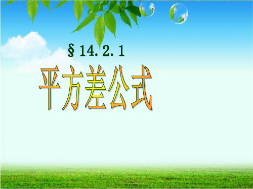 14.2.1 平方差公式课件