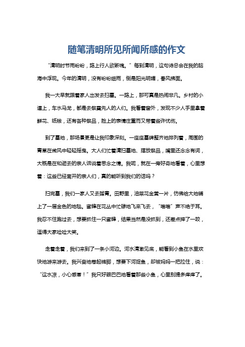 随笔清明所见所闻所感的作文