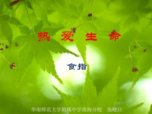 《热爱生命》PPT课件-文档资料