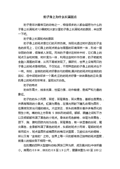 豹子身上为什么长满斑点