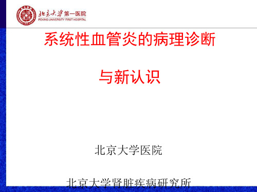 系统性血管炎病理特征