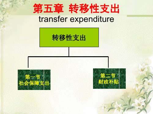 (精选幻灯片)财政学转移性支出