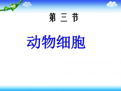 湖南省七年级生物新人教版上册课件：第二单元 第一章 第三节 动物细胞