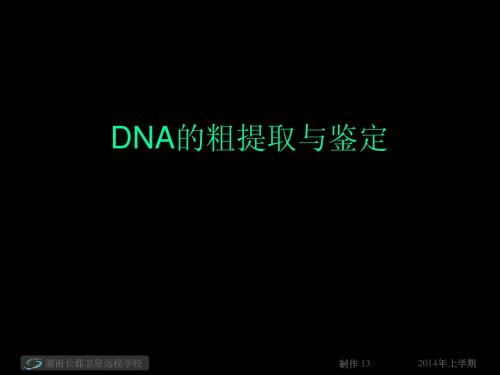 DNA的粗提取与鉴定课件