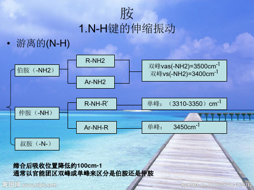 胺类红外谱图总结