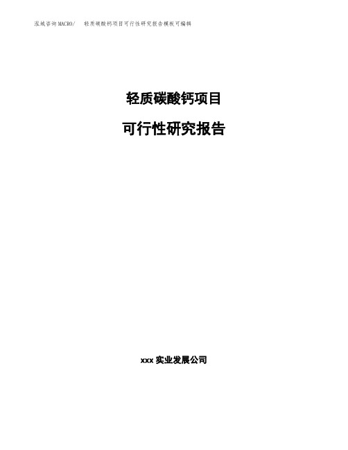 轻质碳酸钙项目可行性研究报告模板可编辑 (1)