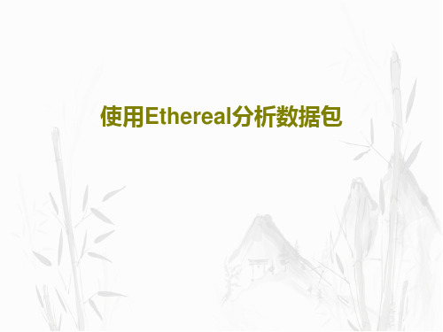 使用Ethereal分析数据包69页PPT