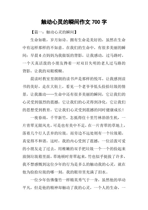 触动心灵的瞬间作文700字