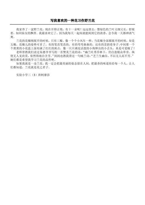 写我喜欢的一种花习作 野兰花
