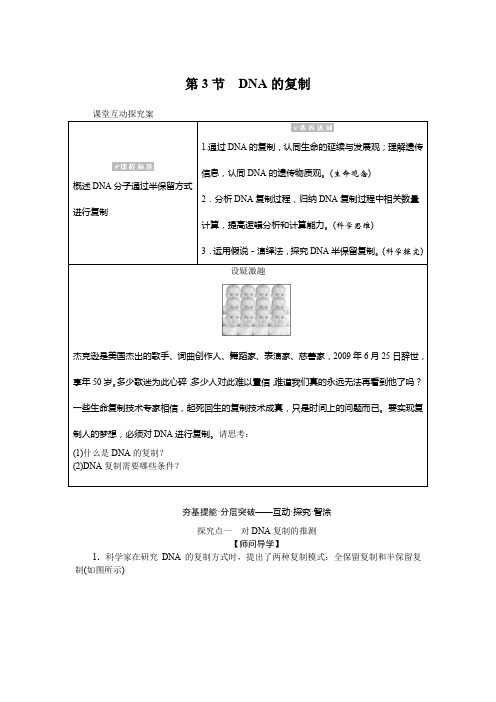 高中人教版(2019)生物必修第二册学案DNA的复制