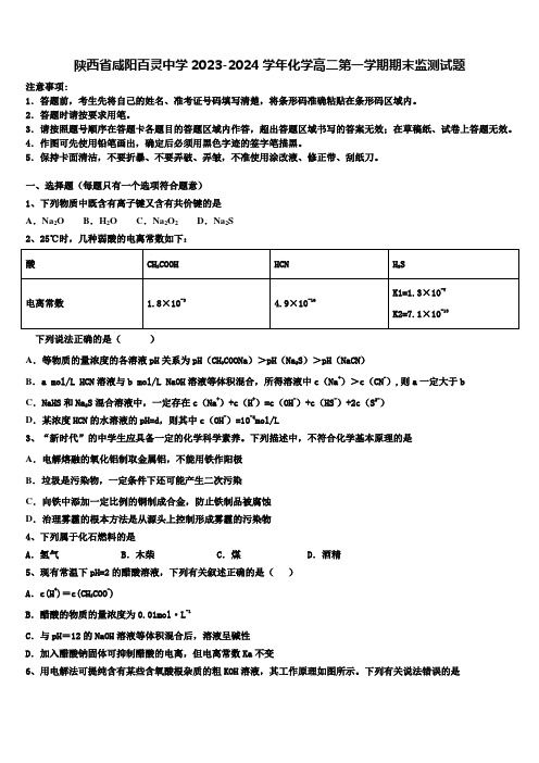 陕西省咸阳百灵中学2023-2024学年化学高二第一学期期末监测试题含解析