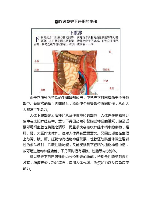 辟谷者意守下丹田的奥秘