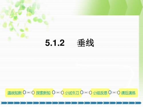 5.1.2  垂线