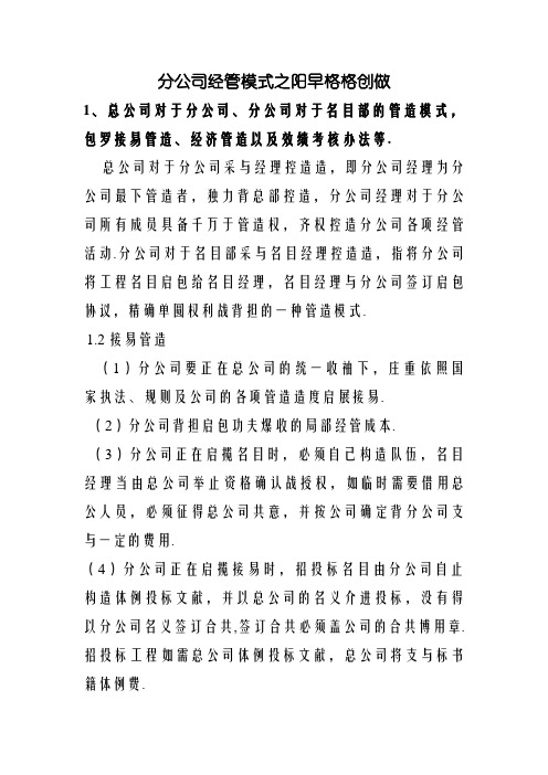 分公司经营模式