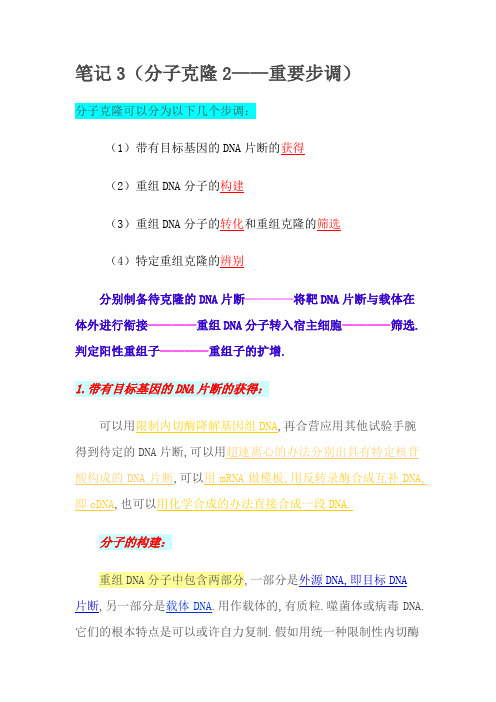 分子克隆——主要步骤