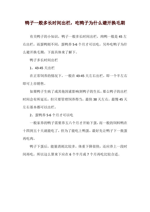 鸭子一般多长时间出栏,吃鸭子为什么避开换毛期