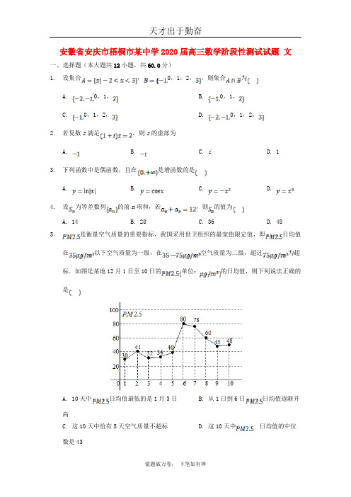 安徽省安庆市梧桐市某中学2020届高三数学阶段性测试试题文