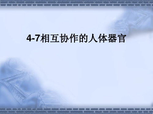 教科小学科学四上《4.7、相互协作的人体器官》PPT课件(2)