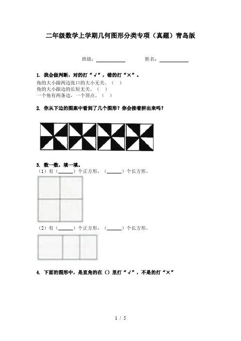 二年级数学上学期几何图形分类专项(真题)青岛版