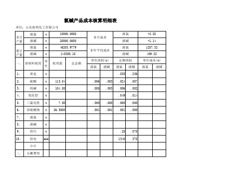 氯碱成本核算