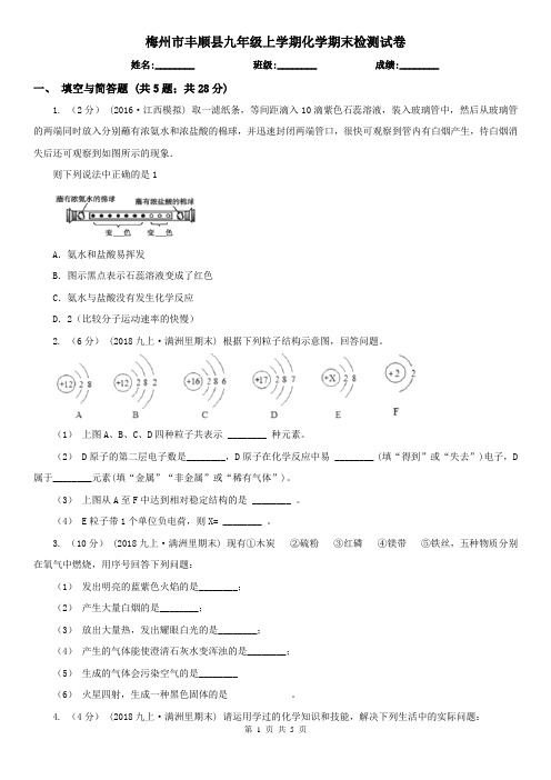 梅州市丰顺县九年级上学期化学期末检测试卷