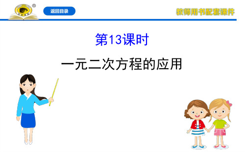 数学20版初中新课标全程复习方略人教课时13