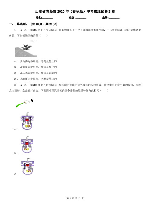 山东省青岛市2020年(春秋版)中考物理试卷B卷