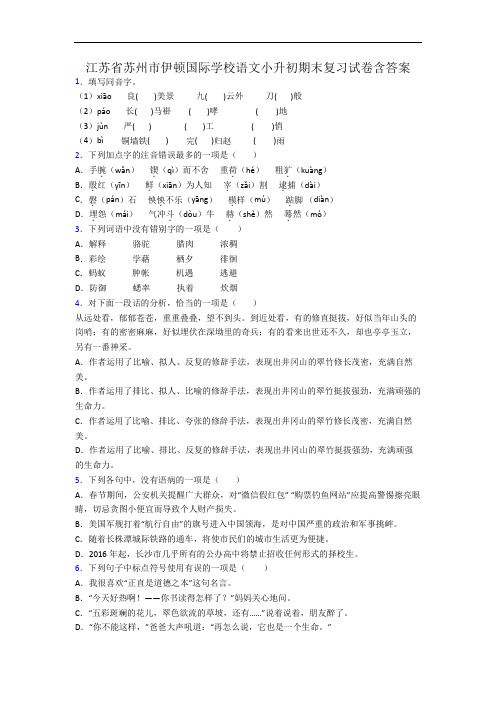 江苏省苏州市伊顿国际学校语文小升初期末复习试卷含答案