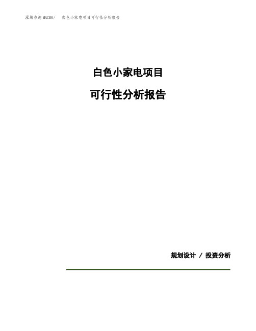 白色小家电项目可行性分析报告(模板参考范文)