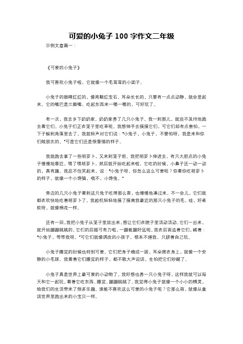 可爱的小兔子100字作文二年级