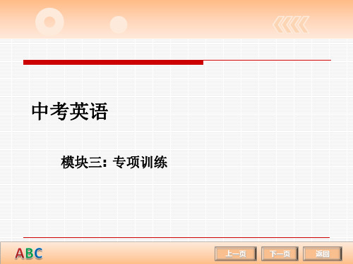 【中考冲刺】2014中考英语复习课件:专项训练-英语-语言学习