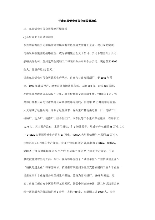甘肃东兴铝业有限公司发展战略
