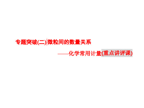 专题突破(二)  微粒间的数量关系——化学常用计量(重点讲评课)