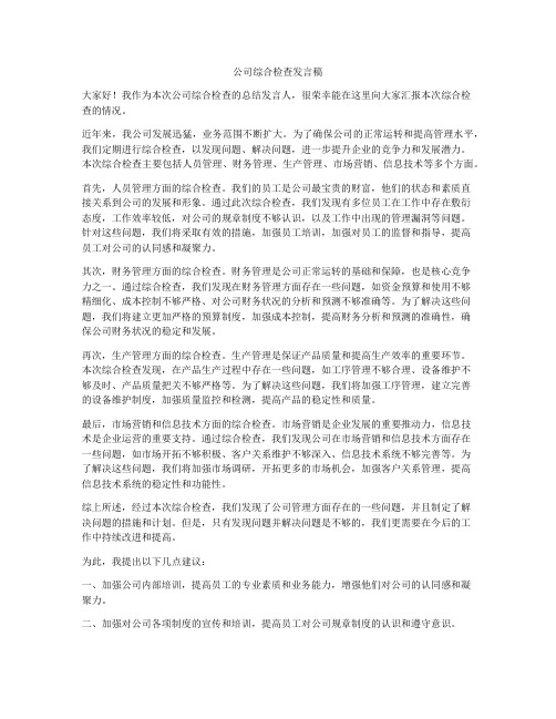 公司综合检查发言稿