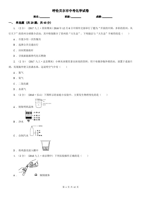 呼伦贝尔市中考化学试卷