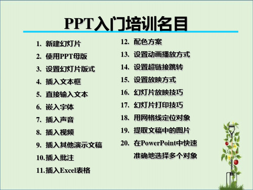 ppt新手必学解析