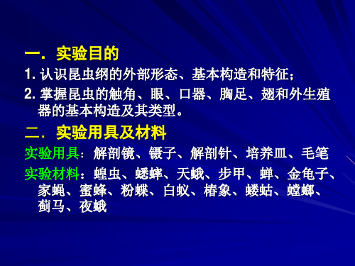 园林植物病虫害防治课件725页PPT