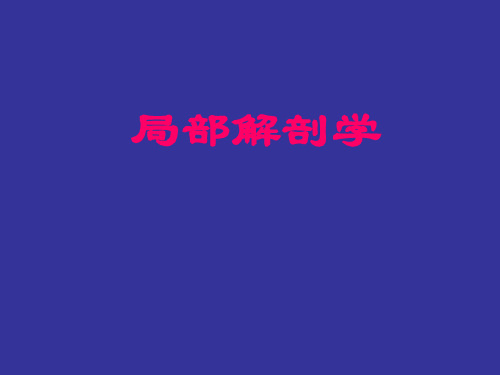 局部解剖学课件:局部解剖学head