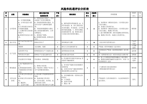 风险和机遇评估分析表