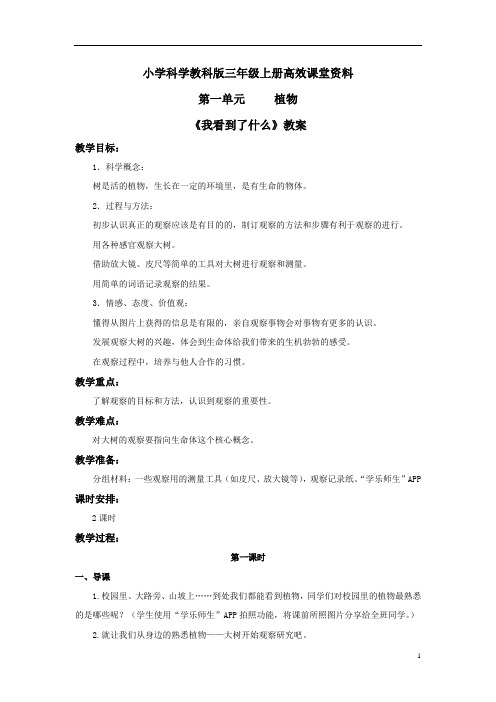 小学科学教科版三年级上册高效课堂资料《我看到了什么》教案——第一课时