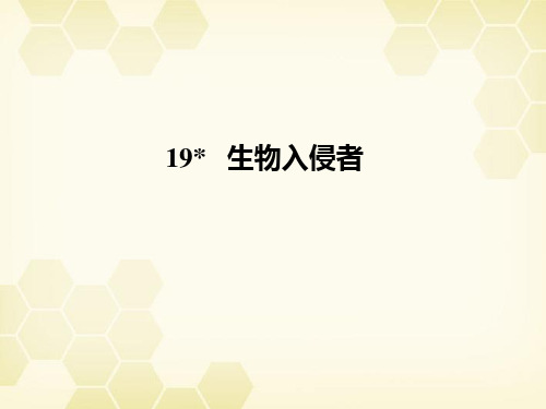 人教版辽宁省大连市四十四中2011-2012学年七年级语文 生物入侵者课件 人教新课标版