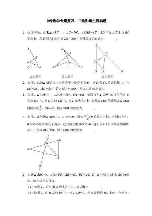 中考数学专题复习：三角形填空压轴题