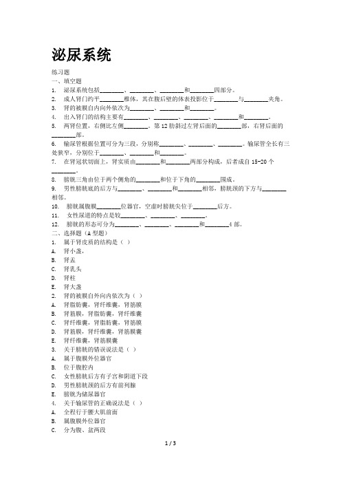 护理解剖 泌尿系统习题