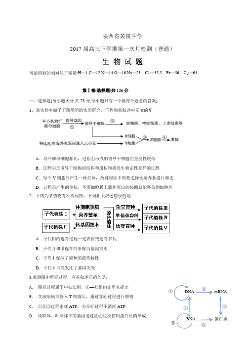 陕西省黄陵中学高三下学期第一次月检测(普通)——生物