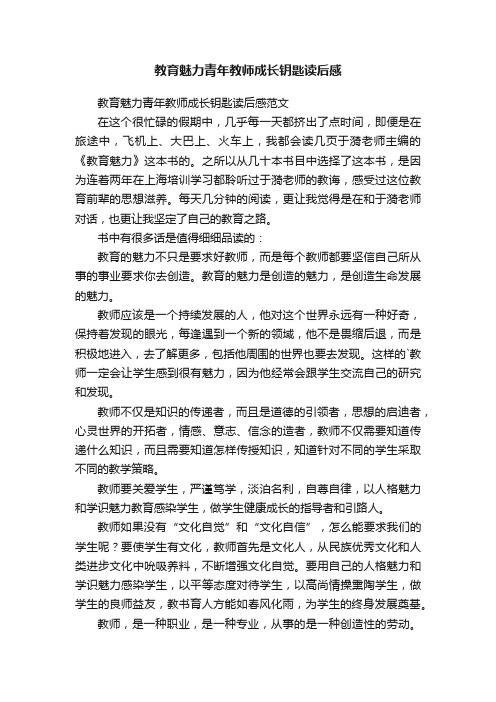 教育魅力青年教师成长钥匙读后感