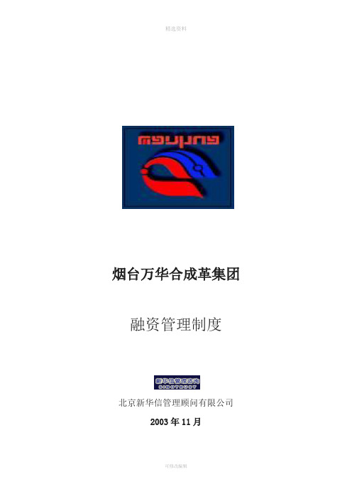 XX集团融资管理制度范本