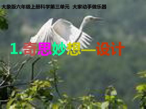 小学六年级科学上册 3.1《奇思妙想--设计篇》名师公开课省级获奖课件1 大象版